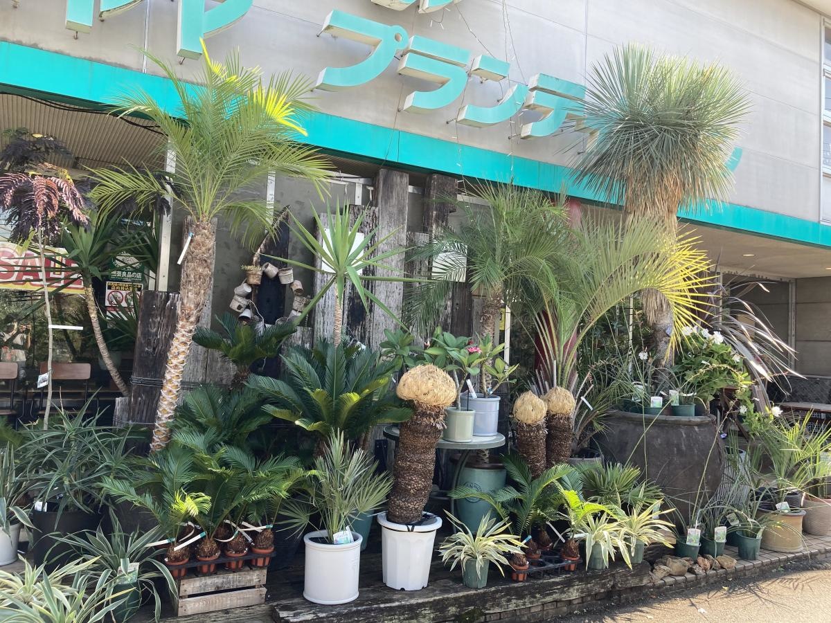 ペットエコ　本店ヨネヤマプランテイション