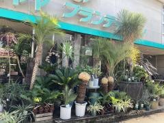 ペットエコ　本店ヨネヤマプランテイション