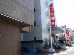 中洲八木病院