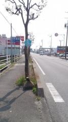 「三交桑名」バス停留所