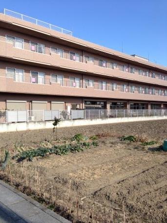 秋桜 施設外観