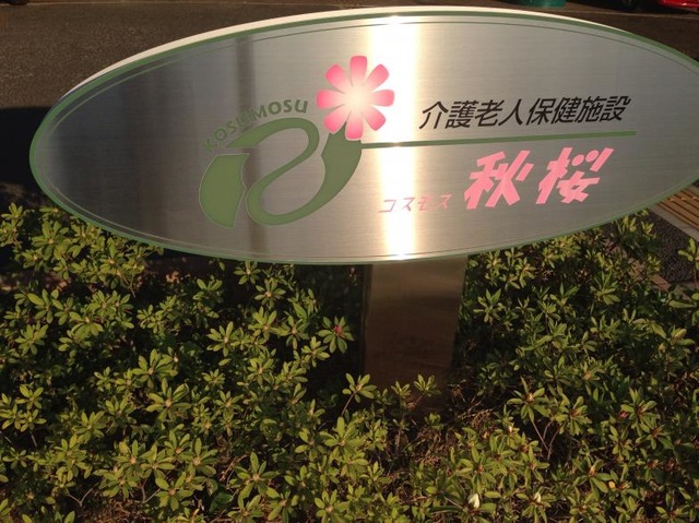 秋桜