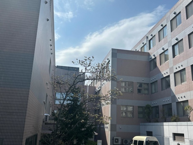かいせい
