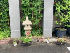 玉八