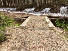 ミニ尾瀬公園