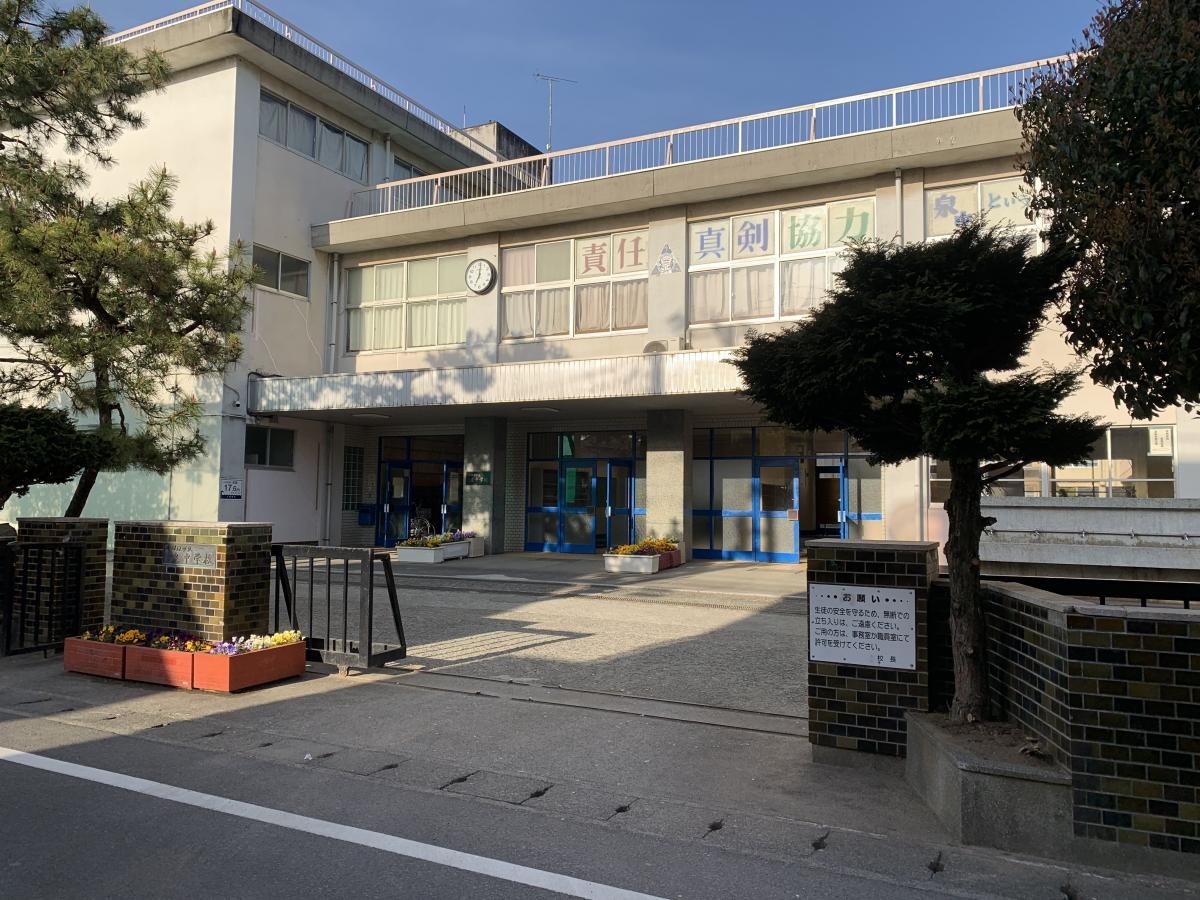 泉中