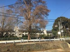 奈良県立桜井高等学校