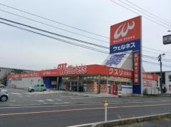 ドラッグストアウェルネス湖山店