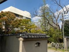 中島皮フ科医院