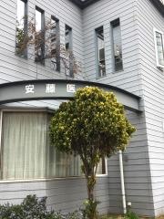 安藤医院