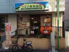 つばさ動物病院