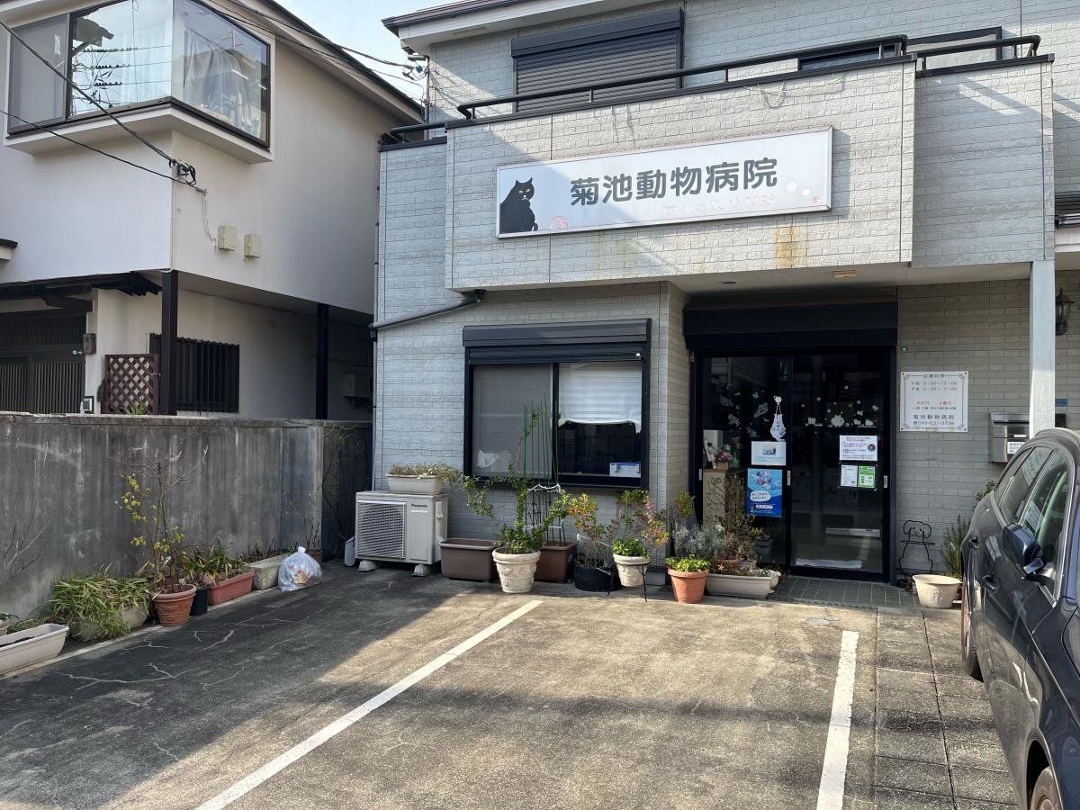 菊池動物病院