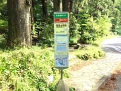 「箱根支所前」バス停留所