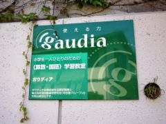 ガウディア　鵠沼橘教室