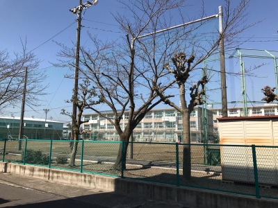 めい ごう しょうが っ こう