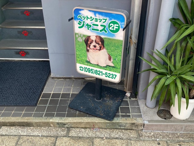 投稿写真3
