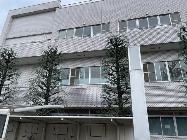 投稿写真2