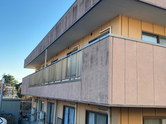 神田園