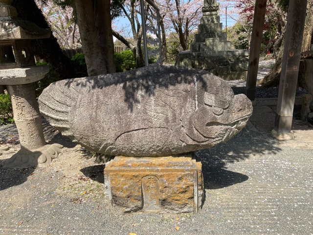 投稿写真7