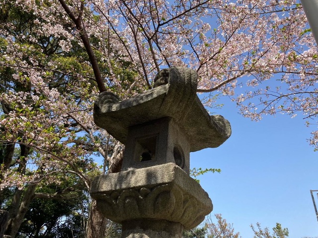 投稿写真6