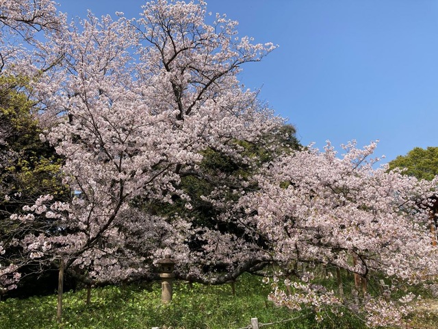 投稿写真4