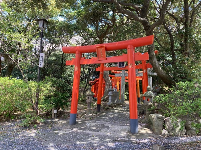 投稿写真2