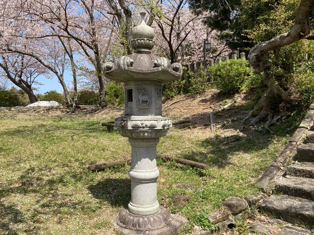 投稿写真1