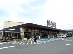フレッセイ倉賀野西店