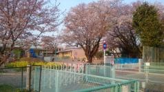 田無向ケ丘幼稚園