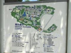 慶應義塾湘南藤沢高等部