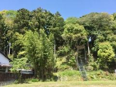 中村山公園