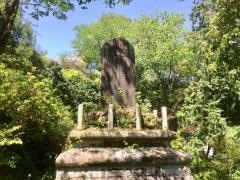 中村山公園
