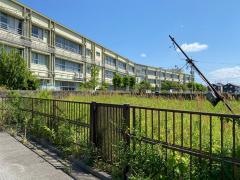 野崎西小学校