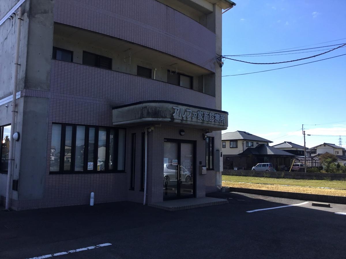 アルファ動物病院