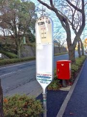「市立室内プール」バス停留所