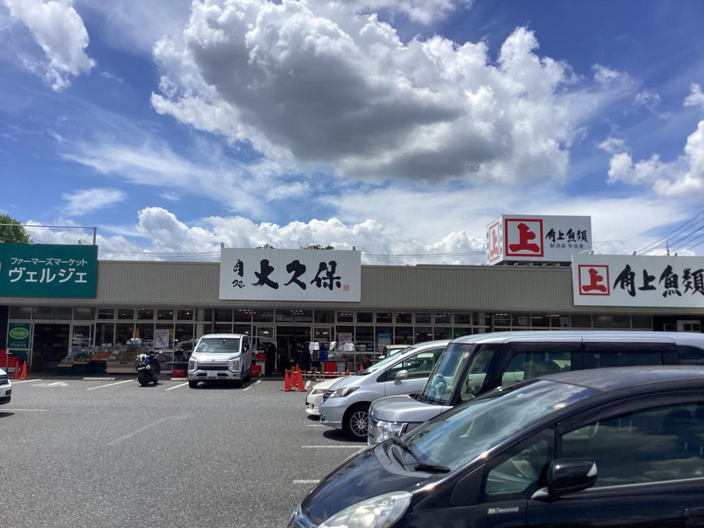 角 上 魚類 大宮 店
