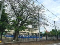 中央小学校