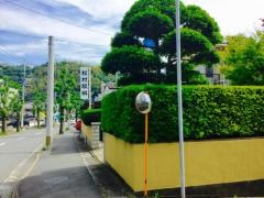 松村眼科