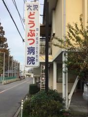 大沢どうぶつ病院