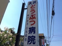 大沢どうぶつ病院