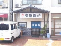 音羽鮨