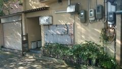 葵納豆御料理店