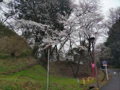 大田原城