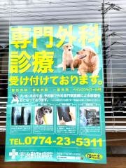宇治動物病院