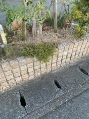 津谷歯科医院