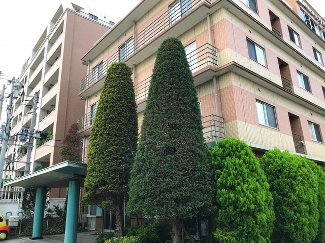 サザンII 建物全景