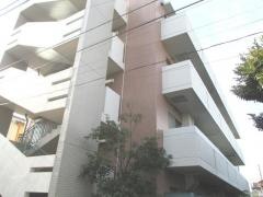 ＳＩＬＶＥＲ　ＳＵＰＰＯＲＴ　コスモス