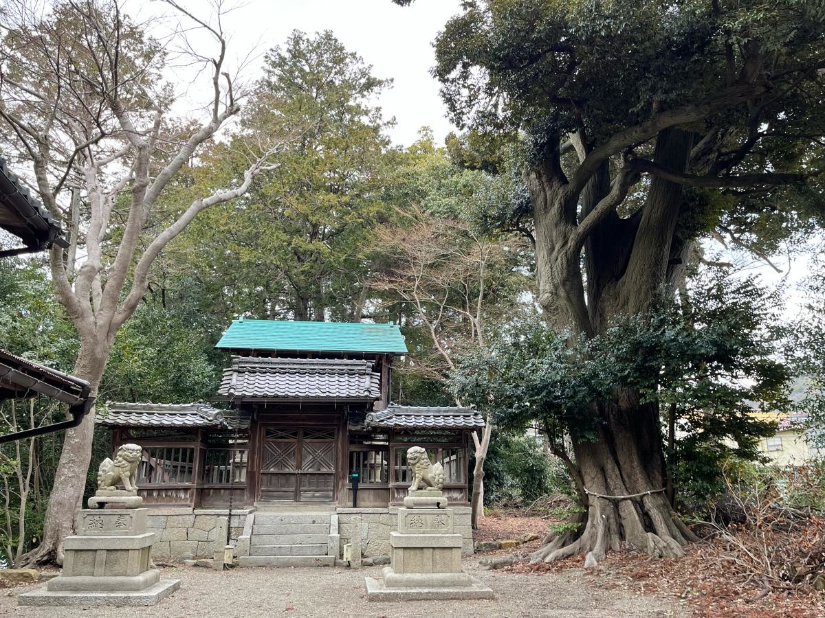 春日神社の本殿です