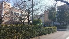 私立千葉日本大学第一中学校