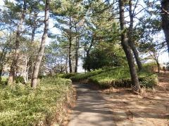 南高浜公園